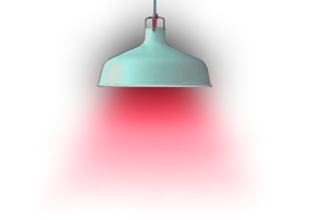 Light